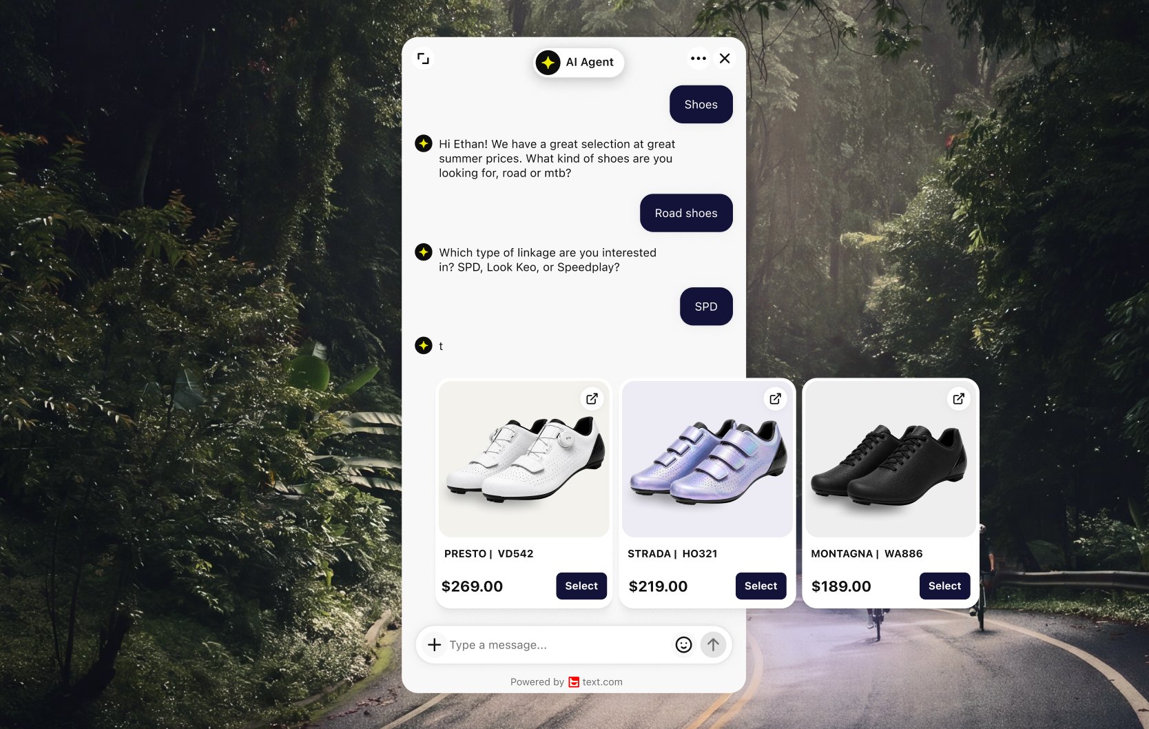 AI Agent recommending products in chat on a Shopify site